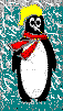 penguin in the snow