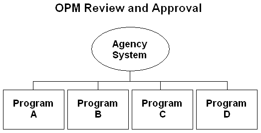 Review and Approval - Agency System with Program A, B, C and D falling underneath.