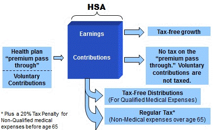 “Graphic showing features of HSA. Description in the text below. src=